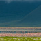 Ngorongoro Crater